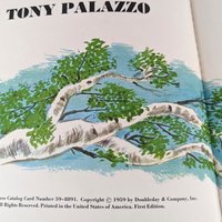 1959 Simple Simon by Tony Palazzo, First Edition Hardcover Book, Vintage Children's Literature, Illustrated Book, Nursery Rhyme Book