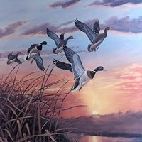 Vintage "Mallards at Sunset" Signed & Numbered Print by Rhynard Klingbeil, Framed Wildlife Art, Duck Decor, Nature Gift