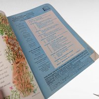 1964 Jack and Jill Magazines, January & November Issues, Vintage Children's Magazine, Collectible Kids Literature