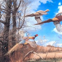 David A. Maass "Tomahawk Trail - Pheasants" Framed Print, Signed Wildlife Art, Vintage Bird Decor, Hunting Theme Artwork