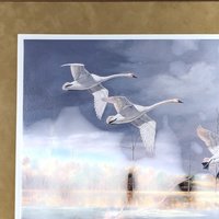 David A. Maass "Autumn at Baker - Trumpeter Swans" Framed Print, Signed Wildlife Art, Vintage Bird Decor, Swan Landscape Painting