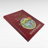 1987 Wind in the Willows Illustrated Hardcover, Classic Children's Literature Gift, Eric Kincaid Art