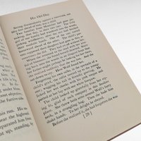 1925 Wolf, Albert Payson Terhune, Hardcover, Vintage, Dog Story, Gift for Animal Lovers