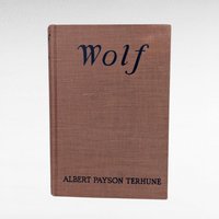 1925 Wolf, Albert Payson Terhune, Hardcover, Vintage, Dog Story, Gift for Animal Lovers