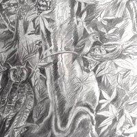 1998 Detailed Nature Drawing Print, Black Metal Frame, Vintage Wildlife Art, Gift for Nature Lover, Home Decor
