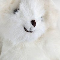 Vintage White Teddy Bears, Joan Chesney Jointed Bear, Berkeley Designs Floral Bear, Collectible Plush Toys, Gift for Collector