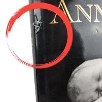Anne Geddes Book Pair, Down in the Garden, Until Now, Photography Books, Coffee Table Books, Gift for Photography Lover, Collectible Books