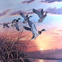 Vintage "Mallards at Sunset" Signed & Numbered Print by Rhynard Klingbeil, Framed Wildlife Art, Duck Decor, Nature Gift