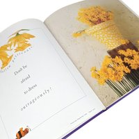 Anne Geddes Book Pair, Down in the Garden, Until Now, Photography Books, Coffee Table Books, Gift for Photography Lover, Collectible Books