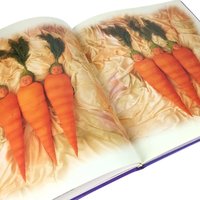 Anne Geddes Book Pair, Down in the Garden, Until Now, Photography Books, Coffee Table Books, Gift for Photography Lover, Collectible Books