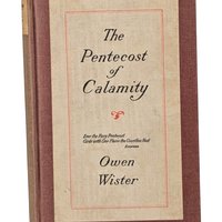 1915 The Pentecost of Calamity, Owen Wister Hardcover, Antique Book, Vintage Americana Gift