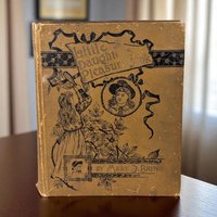 1891 Little Daughters Pleasure Book, Antique Children's Literature, Mary D. Brine, Illustrated Stories, Gift for Collector