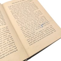 Antique 1917 Anne's House of Dreams Hardcover: L.M. Montgomery A.L. Burt Edition