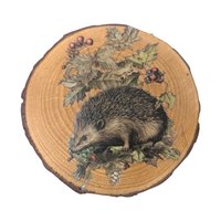 Vintage Wood Slice Coasters (Set of 6): Nature Fairy & Bird Designs