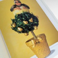 Anne Geddes 'The Twelve Days of Christmas' Book: Collectible Baby Photography