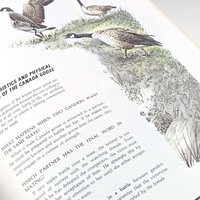 Vintage 1983 Character Sketches From Scripture: Rand McNally Homeschool Resource