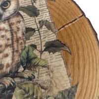 Vintage Wood Slice Coasters (Set of 6): Nature Fairy & Bird Designs