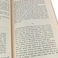 1922 Babbitt First Edition: Classic American Novel, Illustrated Hardcover