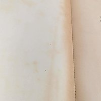 Vintage 1976 Ripley's Believe It Or Not! Book: Illustrated Oddities & Wonders