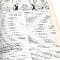 Garfield Children's Dictionary: 1999 Merriam-Webster Softcover Educational Book