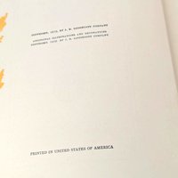 1919 Antique Heidi Book: Lippincott Edition, Maria L Kirk Illustrations