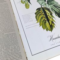 Vintage 1977 World Guide to Beer by Michael Jackson: Craft Beer History