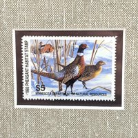 Signed 1993 Pheasant Art Print: Bruce Miller Minnesota Habitat Stamp, Framed Wildlife Art