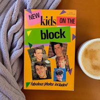 Vintage 1989 New Kids on the Block Book: Anne M. Raso Biography, NKOTB Memorabilia