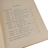 Antique 1922 Bunny Boy and Grizzly Bear: Laura Rountree Smith Animal Storybook