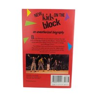 Vintage 1989 New Kids on the Block Book: Anne M. Raso Biography, NKOTB Memorabilia