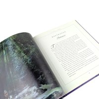 Vintage 2001 The World of Fairies: Gossamer Penwyche Hardcover Book