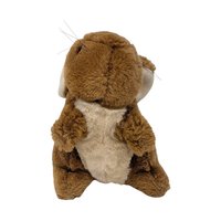 Vintage Eden Peter Rabbit Plush: Beatrix Potter Stuffed Animal Toy