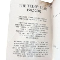2002 Dandee 100th Anniversary Talking Teddy Bear