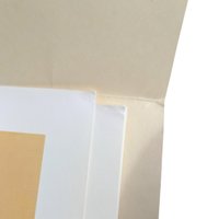 Vintage Leo Stans Wildlife Prints Set of 4