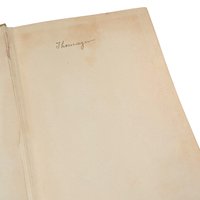 1910 Madame X Hardcover, J.W. McConaughy