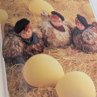 1994 Anne Geddes Twelve Days of Christmas Book