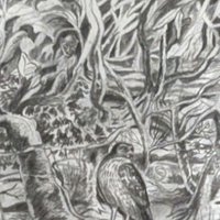 1998 S.G. Thautatta Framed Nature Art Print