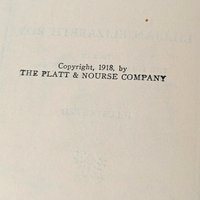 1918 Antique Children's Book Set: The Little Washingtons by Lillian Elizabeth Roy