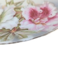 PV Vessra Germany Hand-Painted Floral Plate