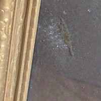 Vintage Egyptian Papyrus Painting: King Tut and Ankhesenamun