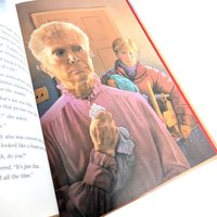 Vintage Christmas Storybook Pair