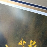 Signed Leanne Hanson 'Les Fleurs Classiques I' Floral Print