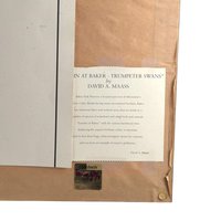 Signed David A. Maass 'Autumn at Baker—Trumpeter Swans' Print