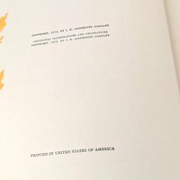 1919 Heidi by Johanna Spyri, Hardcover Book