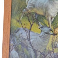 Vintage Framed Jesus the Good Shepherd Lithograph