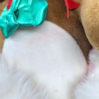 1985 Rabbit Ears Plush Rabbit in Stocking