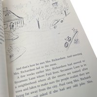 1971 51 Sycamore Lane or Spy in the Neighborhood, Marjorie Weinman Sharmat