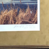 Signed David A. Maass 'Autumn at Baker—Trumpeter Swans' Print