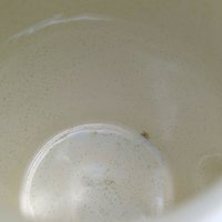 Vintage Franciscan Autumn Leaves Pitcher Cream and Sugar Set