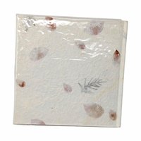 The Language of Friendship Hardcover